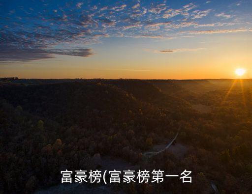 中國財(cái)富榜前100