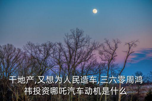 中國產(chǎn)商業(yè)顛覆者