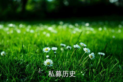 我國(guó)私募股權(quán)投資發(fā)展現(xiàn)狀與趨勢(shì),私募股權(quán)投資行業(yè)發(fā)展現(xiàn)狀