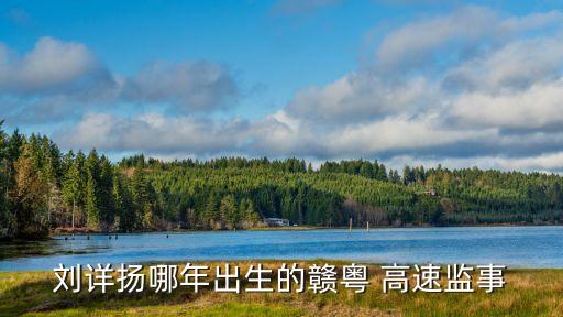 劉詳揚哪年出生的贛粵 高速監(jiān)事