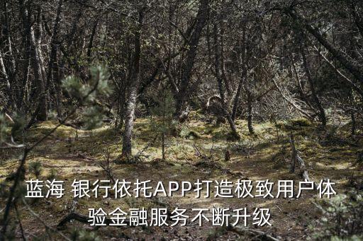 藍海 銀行依托APP打造極致用戶體驗金融服務(wù)不斷升級