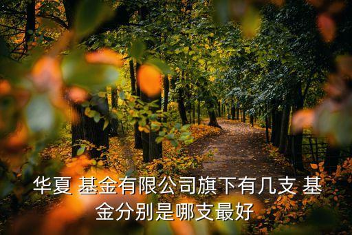 華夏基金003003凈值,華夏現(xiàn)金003003凈值走勢(shì)圖