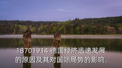 18701914 德國經(jīng)濟(jì)迅速發(fā)展的原因及其對(duì)國際局勢的影響.