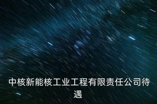 中核新能核工業(yè)工程有限責任公司待遇