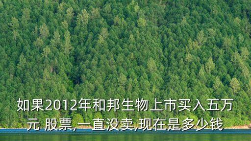 和邦股票怎么樣能不能買,社?；鹳I的股票怎么樣