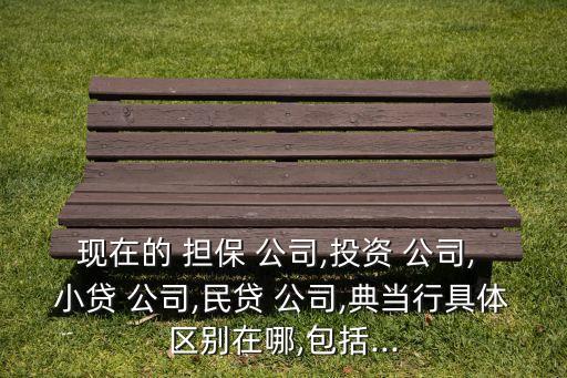 擔保公司和小貸公司,助貸公司是擔保公司嗎