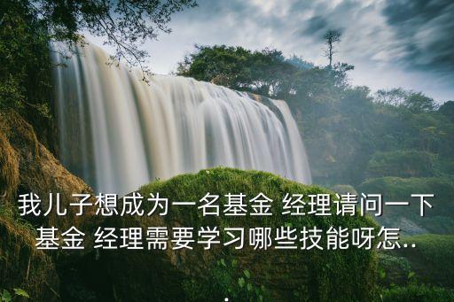 我兒子想成為一名基金 經理請問一下基金 經理需要學習哪些技能呀怎...