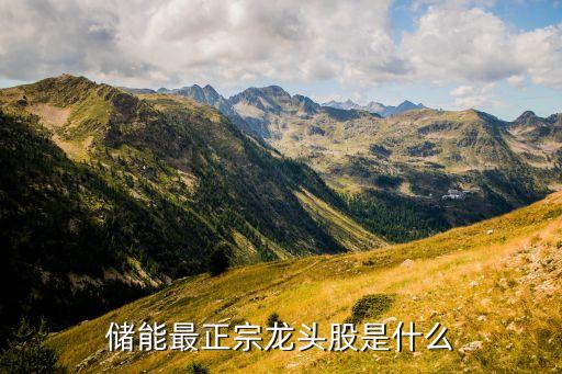 山東章鼓股份有限公司,山東羅欣藥業(yè)集團股份有限公司