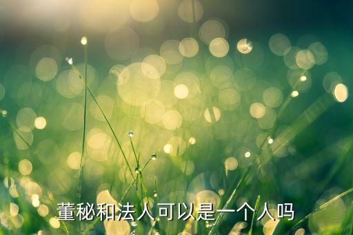 董秘和法人可以是一個(gè)人嗎