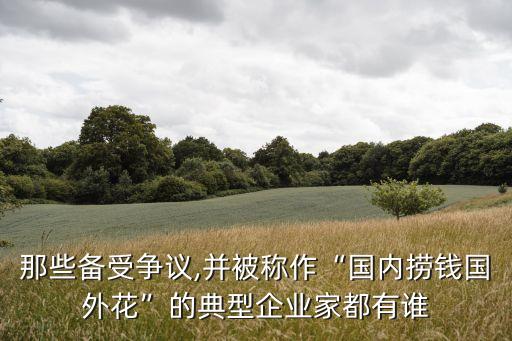 那些備受爭(zhēng)議,并被稱作“國(guó)內(nèi)撈錢(qián)國(guó)外花”的典型企業(yè)家都有誰(shuí)