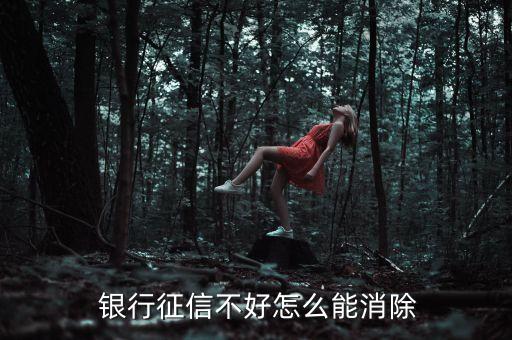 如何取消銀行不良記錄,銀行有不良記錄對子女有影響嗎