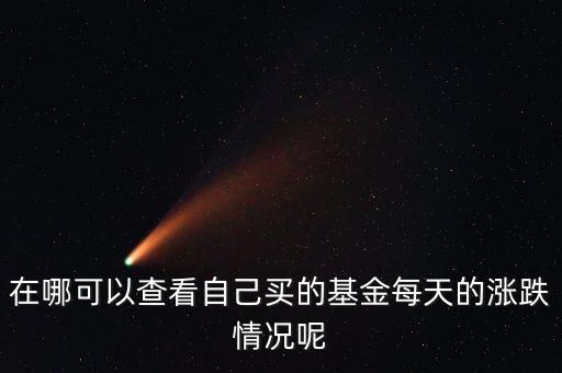 在哪可以查看自己買(mǎi)的基金每天的漲跌情況呢