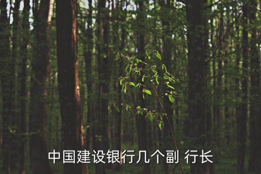 上海市建行行長(zhǎng)段超良