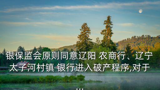 銀保監(jiān)會原則同意遼陽 農(nóng)商行、遼寧太子河村鎮(zhèn) 銀行進(jìn)入破產(chǎn)程序,對于...
