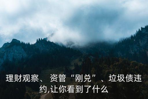 理財觀察、 資管“剛兌”、垃圾債違約,讓你看到了什么