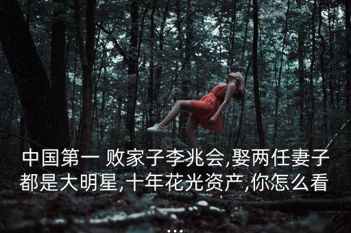 中國(guó)最有名的敗家子,你是全縣最有名的敗家子小說