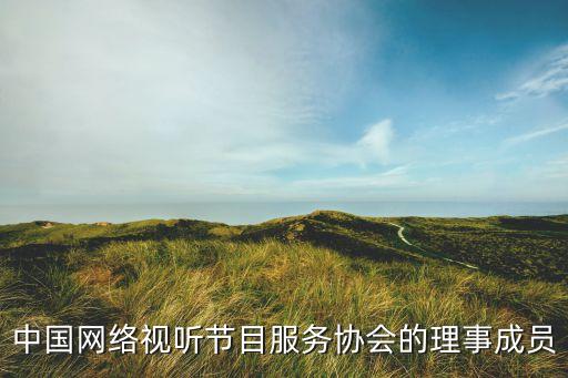 中國(guó)網(wǎng)絡(luò)視聽(tīng)節(jié)目服務(wù)協(xié)會(huì)的理事成員