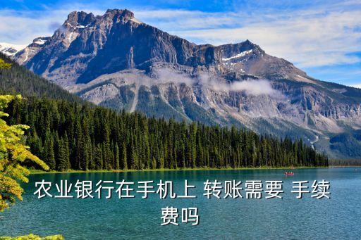  農(nóng)業(yè)銀行在手機上 轉(zhuǎn)賬需要 手續(xù)費嗎