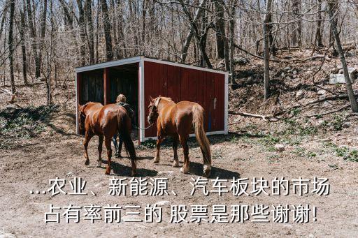 ...農(nóng)業(yè)、新能源、汽車板塊的市場(chǎng)占有率前三的 股票是那些謝謝!