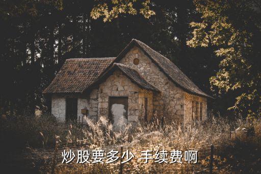 買中小板股票所需手續(xù)費用