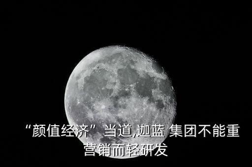 伽藍集團年會,伽藍(集團)股份有限公司