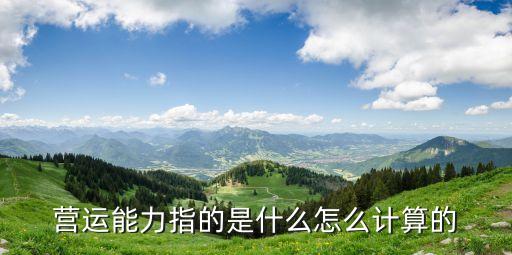 銀行總資產(chǎn)周轉率