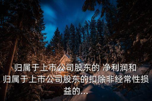  歸屬于上市公司股東的 凈利潤和 歸屬于上市公司股東的扣除非經常性損益的...