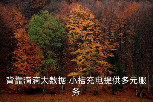 小桔快智集團,小桔科技集團