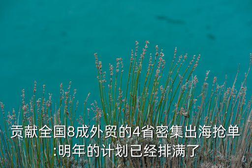 海外看中國(guó)熔斷機(jī)制
