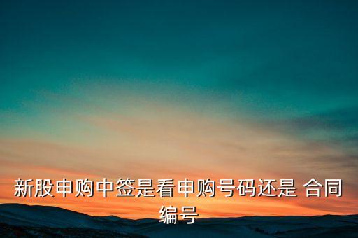 新股申購中簽是看申購號碼還是 合同編號