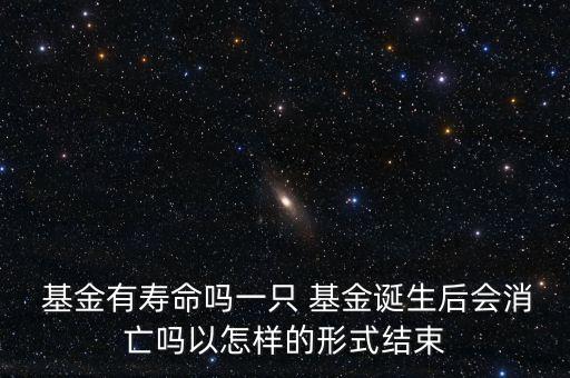 基金的風險共擔是指,基金投資者利益共享風險共擔