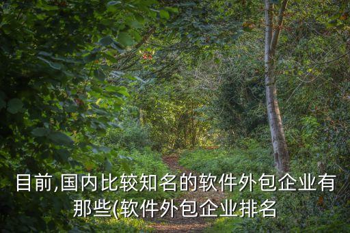 目前,國內(nèi)比較知名的軟件外包企業(yè)有那些(軟件外包企業(yè)排名