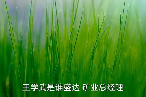 王學(xué)武是誰(shuí)盛達(dá) 礦業(yè)總經(jīng)理