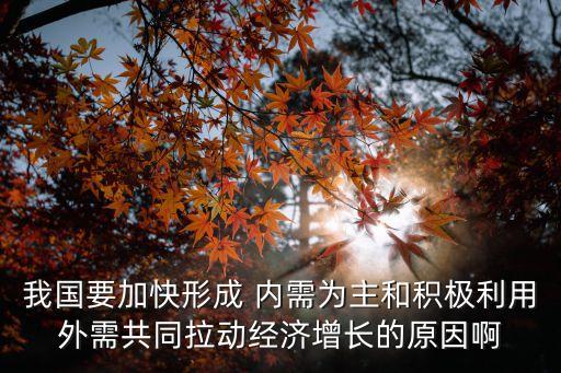 我國要加快形成 內(nèi)需為主和積極利用外需共同拉動(dòng)經(jīng)濟(jì)增長的原因啊