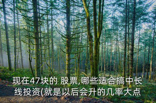 現(xiàn)在47塊的 股票,哪些適合搞中長線投資(就是以后會升的幾率大點