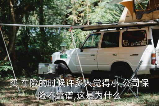 小的車(chē)險(xiǎn)公司,比較小的車(chē)險(xiǎn)公司