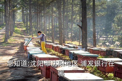 浦發(fā)銀行南沙支行,南沙浦發(fā)銀行營(yíng)業(yè)時(shí)間