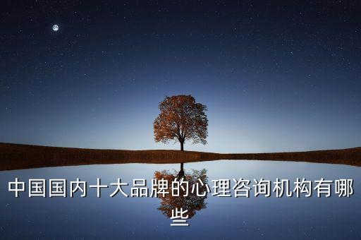 中國國內(nèi)十大品牌的心理咨詢機(jī)構(gòu)有哪些