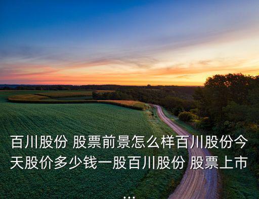 百川股份 股票前景怎么樣百川股份今天股價(jià)多少錢(qián)一股百川股份 股票上市...