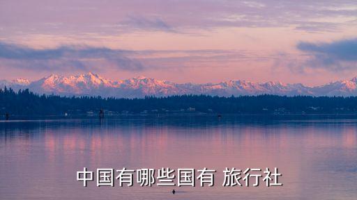 中國(guó)有哪些國(guó)有 旅行社