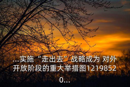 ...實(shí)施“走出去”戰(zhàn)略成為 對(duì)外開(kāi)放階段的重大舉措圖12198520...
