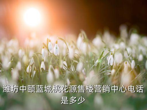 濰坊中頤藍城桃花源售樓營銷中心電話是多少
