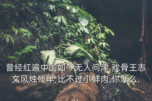 曾經(jīng)紅遍中國如今無人問津,戲骨王志文風燭殘年,比不過小鮮肉,你怎么...