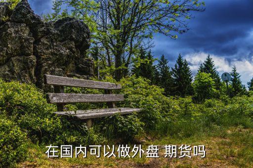 在國(guó)內(nèi)可以做外盤 期貨嗎