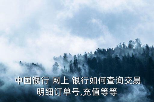  中國(guó)銀行 網(wǎng)上 銀行如何查詢(xún)交易明細(xì)訂單號(hào),充值等等