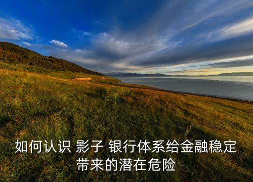 如何認識 影子 銀行體系給金融穩(wěn)定帶來的潛在危險