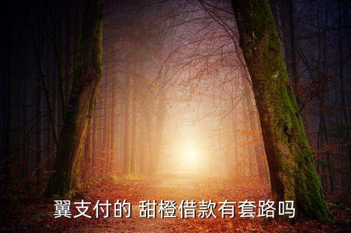 翼支付的 甜橙借款有套路嗎