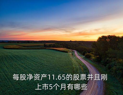 九州通集團上市