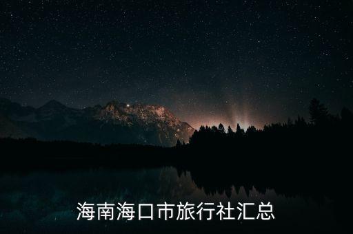 海南?？谑新眯猩鐓R總
