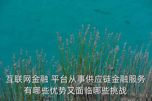 互聯(lián)網(wǎng)金融 平臺從事供應(yīng)鏈金融服務(wù)有哪些優(yōu)勢又面臨哪些挑戰(zhàn)